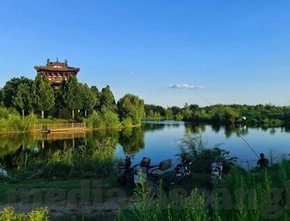 麻豆传媒vip-300天频率告白，揭秘麻豆传媒VIP的地下世界
