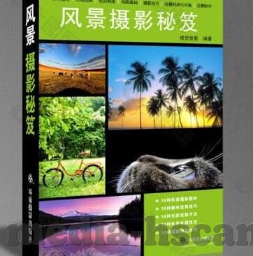 欧美一区二区在线-欧美一区二区在线，网络世界的文化交汇与探索